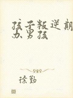 孩子叛逆期怎么办男孩