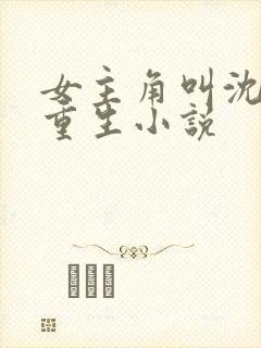 女主角叫沈晚的重生小说