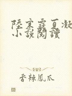 陆寒霆夏凝绾的小说阅读
