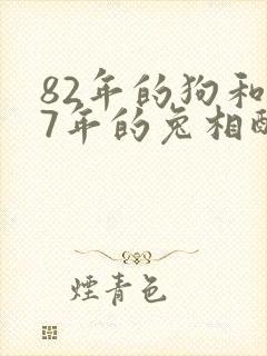 82年的狗和87年的兔相配吗