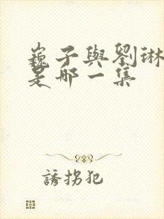 巍子与刘琳吻戏是哪一集