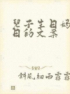 儿子生日妈的苦日的文案