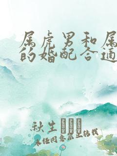 属虎男和属牛女的婚配合适吗婚姻如何