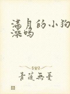 满月的小狗能洗澡吗