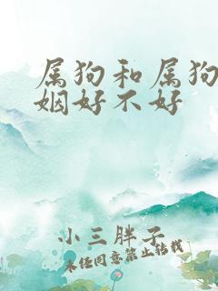 属狗和属狗的婚姻好不好