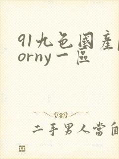 91九色国产porny一区