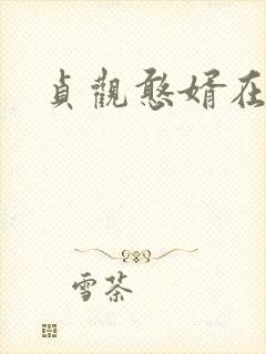 贞观憨婿在线看