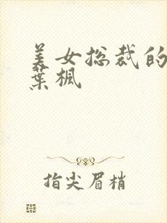 美女总裁的保镖叶枫