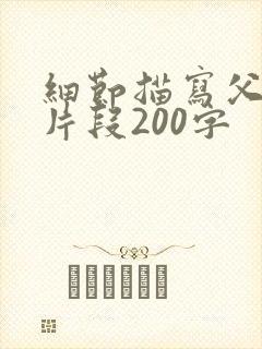 细节描写父母的片段200字