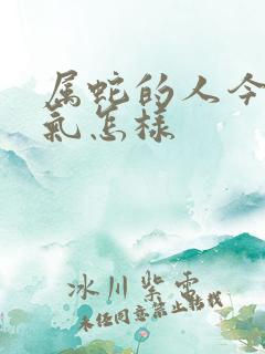 属蛇的人今天运气怎样