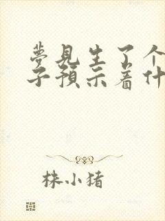 梦见生了个男孩子预示着什么意思