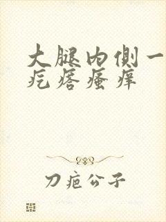 大腿内侧一片红疙瘩瘙痒