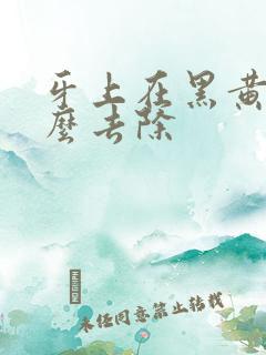 牙上在黑黄渍怎么去除