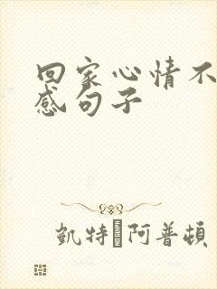 回家心情不好伤感句子