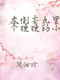 左侧睾丸里面有个硬硬的小疙瘩