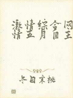 激情综合网,激情五月自主