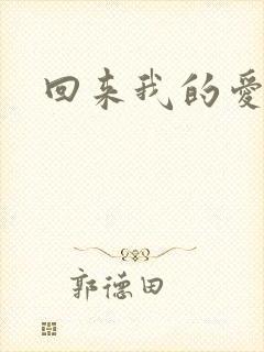 回来我的爱dj