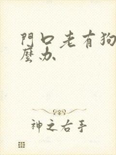 门口老有狗尿怎么办