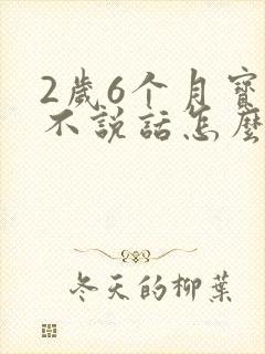 2岁6个月宝宝不说话怎么办