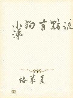 小狗有点流黄鼻涕