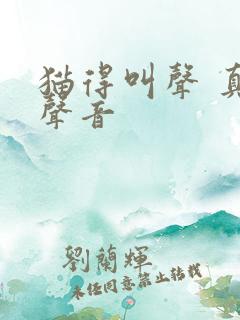 猫得叫声 真实声音