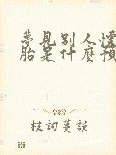 梦见别人怀双胞胎是什么预兆