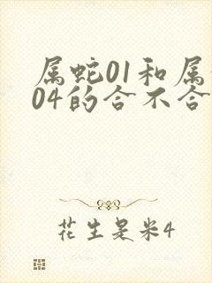 属蛇01和属猴04的合不合婚