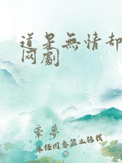 道是无情却有情网剧