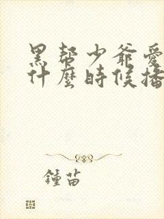 黑帮少爷爱上我什么时候播出的