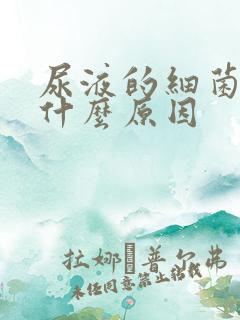 尿液的细菌高是什么原因