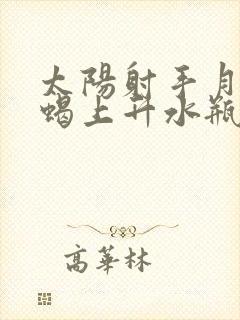 太阳射手月亮天蝎上升水瓶