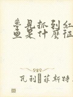 梦见抓到红色的鱼是什么征兆