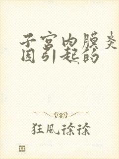 子宫内膜炎的原因引起的