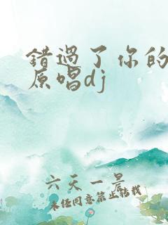 错过了你的温柔原唱dj