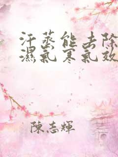 汗蒸能去除体内湿气寒气效果好吗