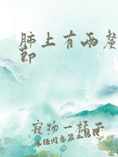 肺上有两厘米结节