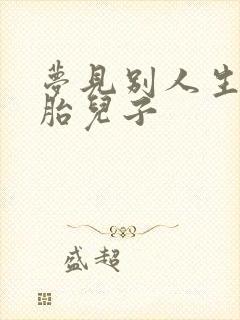 梦见别人生双胞胎儿子