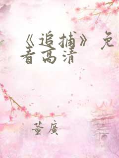 《追捕》免费观看高清