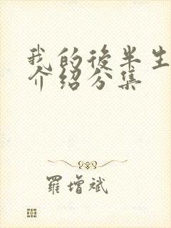 我的后半生剧情介绍分集