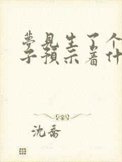 梦见生了个男孩子预示着什么意思