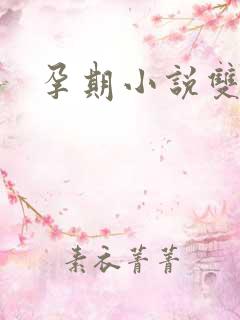 孕期小说双男主