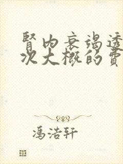 肾内衰竭透析一次大概的费用是多少