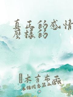 真正的感情是怎么样的