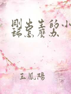 刚出生的小狗拉稀怎么办