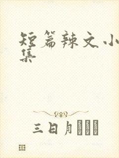 短篇辣文小说合集