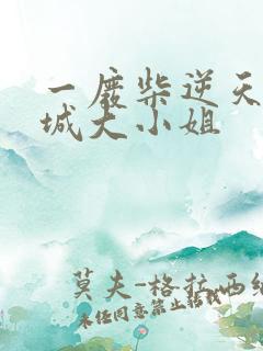 一废柴逆天:倾城大小姐