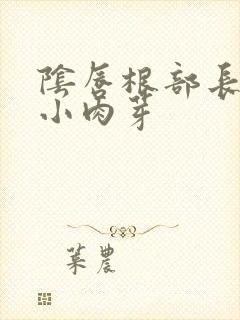 阴唇根部长了个小肉芽