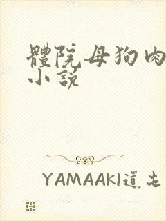 体院母狗肉便器小说