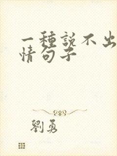 一种说不出的心情句子