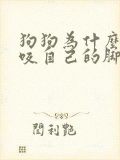 狗狗为什么喜欢咬自己的脚